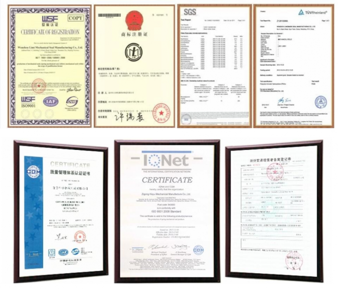 John Crane Mechanical Seal Type 1 guarnizione meccanica di tipo 1 della gru di john delle guarnizioni dei soffietti dell'elastomero per le pompe idrauliche 3