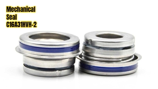 Tenuta meccanica C16A31HVH-2