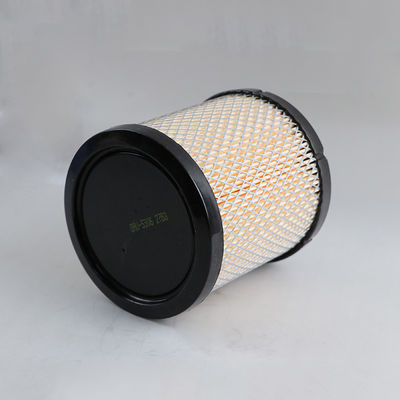 Filtro dell'aria dell'automobile della componente del motore dell'automobile di FORD 146-7472 M-131802 256C1-08011K