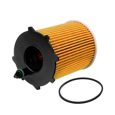 L'alta qualità della torcia e filtrare i filtri automatici da Efficience personalizza il filtro dell'olio di buona qualità per le automobili europee 1109AY