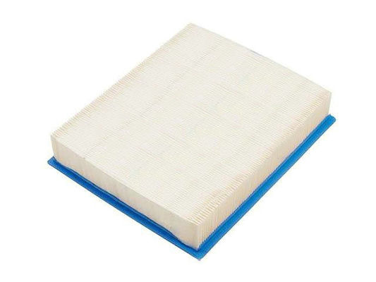 Dimensione standard dell'OEM della sostituzione di filtro dell'aria dell'automobile di filtrazione per il Bmw 13711736675