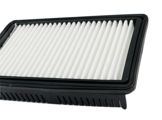 La dimensione standard dell'OEM della sostituzione di filtro dell'aria della cabina dell'automobile di filtrazione sostituisce per il filtro 28113-F9100 per HYUNDAI i20