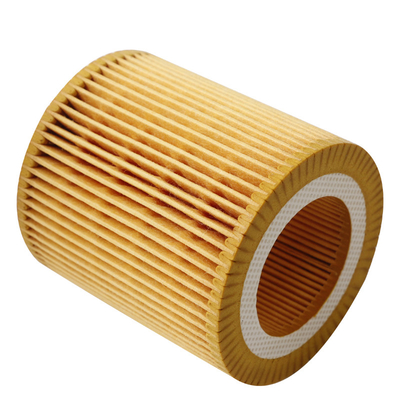 Elemento del filtro dell'olio per l'OEM 11427566327 di BMW